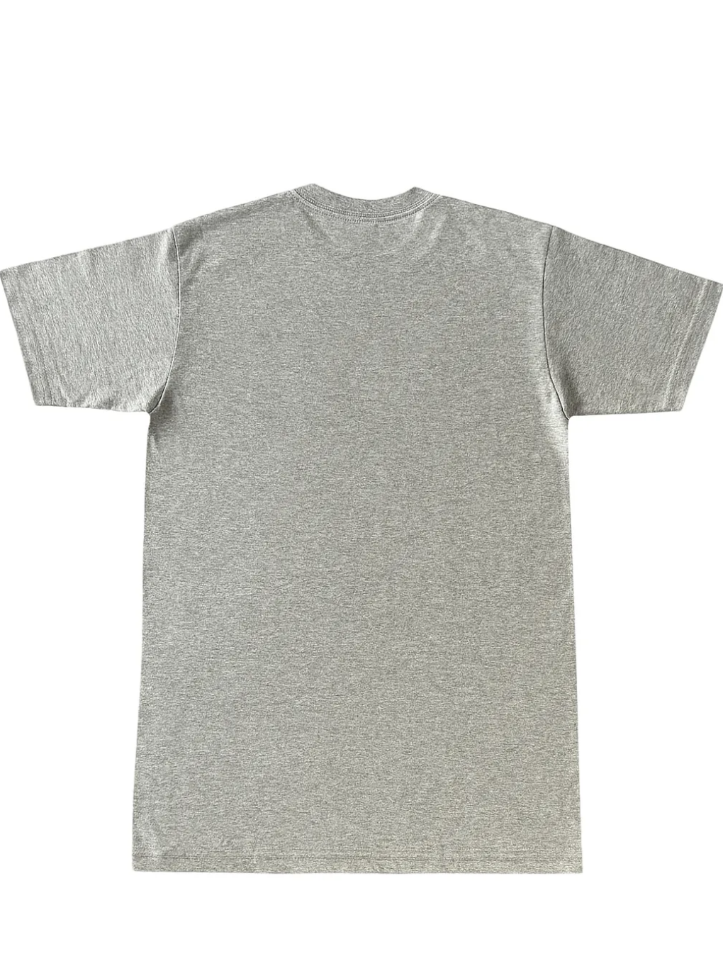 Lynyrd Skynyrd - T-shirt Homme Here To Stay